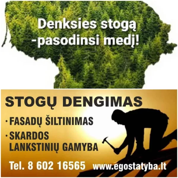 Stogų dengimas egostatyba nori prisidėti prie miškų gausinimo ir skelbia akciją : Už kiekv